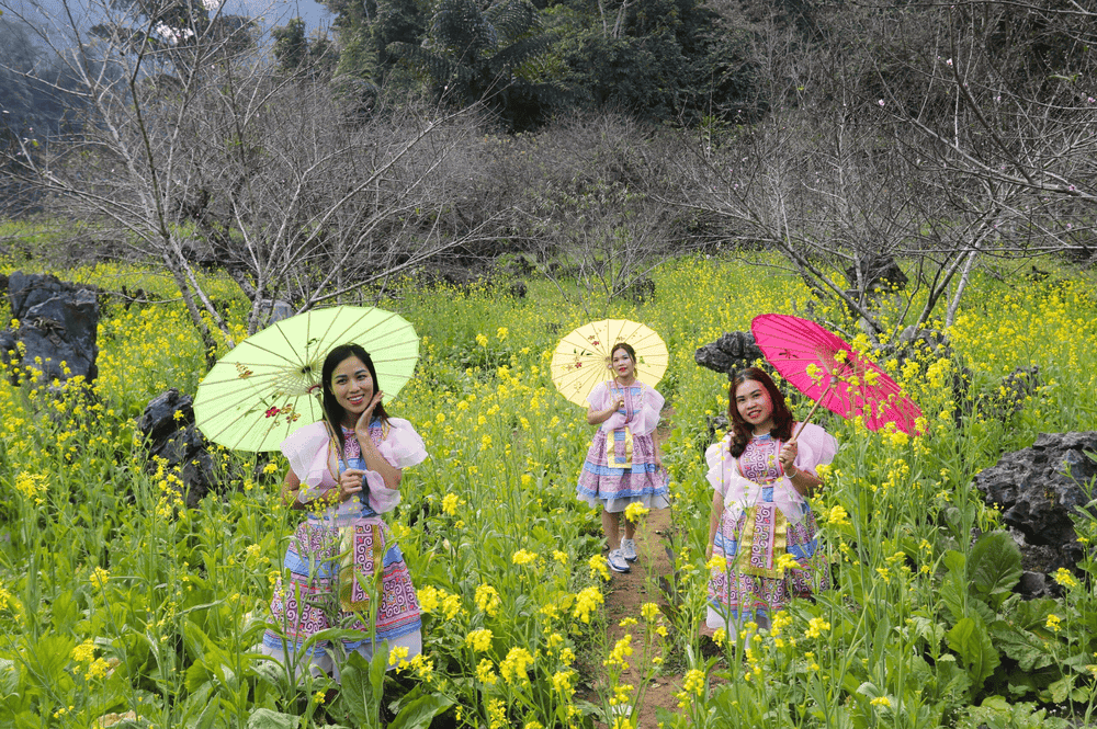 Thung Lũng Bướt Mùa Xuân: Khám Phá Thiên Nhiên Mùa Xuân Tây Bắc