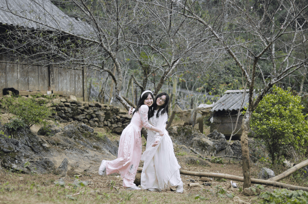 Thung Lũng Bướt Mùa Xuân: Khám Phá Thiên Nhiên Mùa Xuân Tây Bắc Thung Lũng Bướt Mùa Xuân: Khám Phá Thiên Nhiên Mùa Xuân Tây Bắc