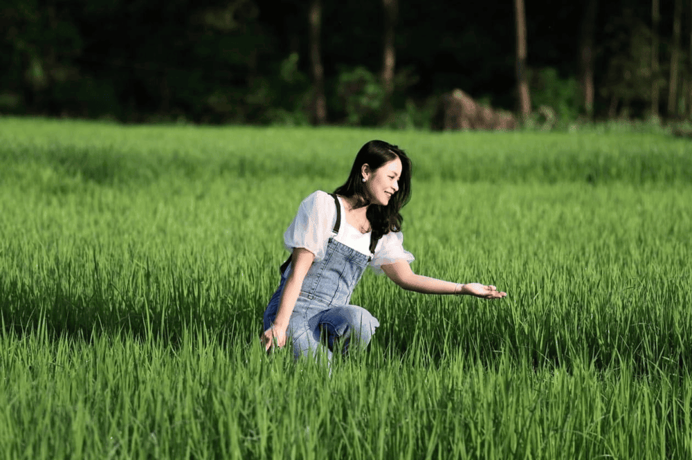 Thung Lũng Bướt: Văn Hoá, Thiên Nhiên Và Ẩm Thực Thái Thung Lũng Bướt: Văn Hoá, Thiên Nhiên Và Ẩm Thực Thái