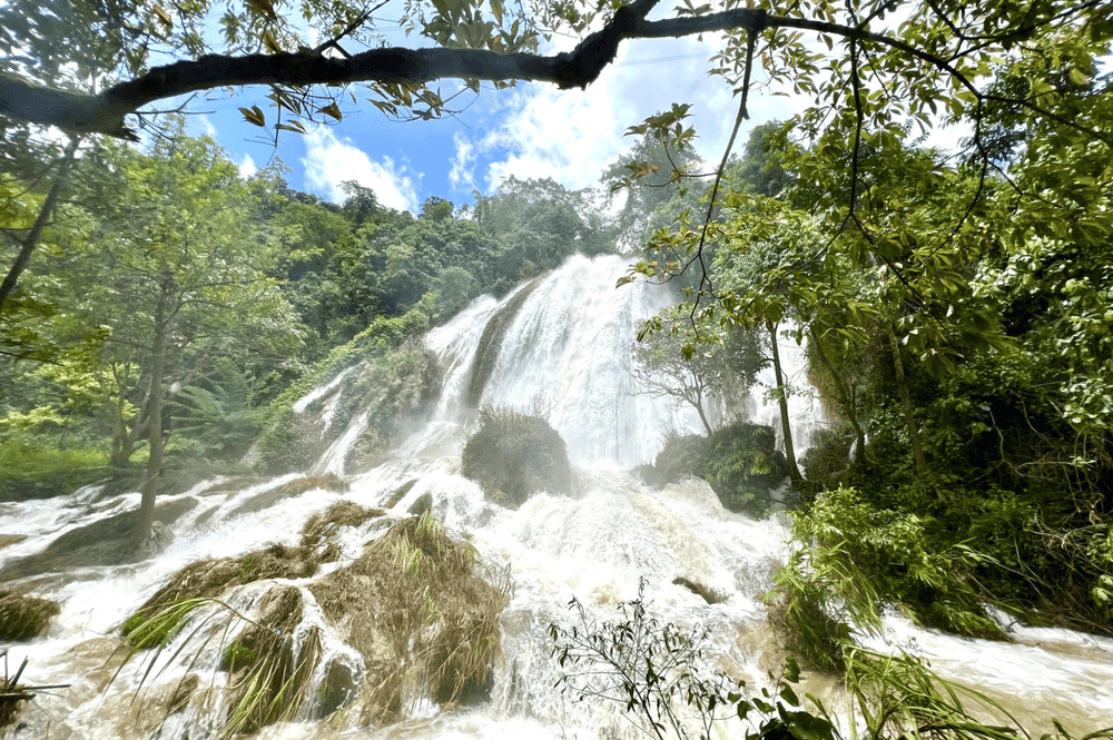 WIT Tour: Trải Nghiệm Thiên Nhiên Tây Bắc Ở Thung Lũng Bướt WIT Tour: Trải Nghiệm Thiên Nhiên Tây Bắc Ở Thung Lũng Bướt