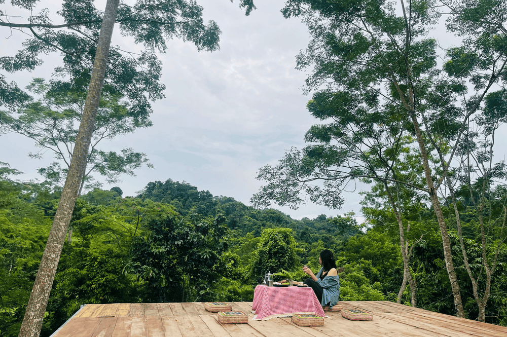 Cắm Trại Khu Agritage+