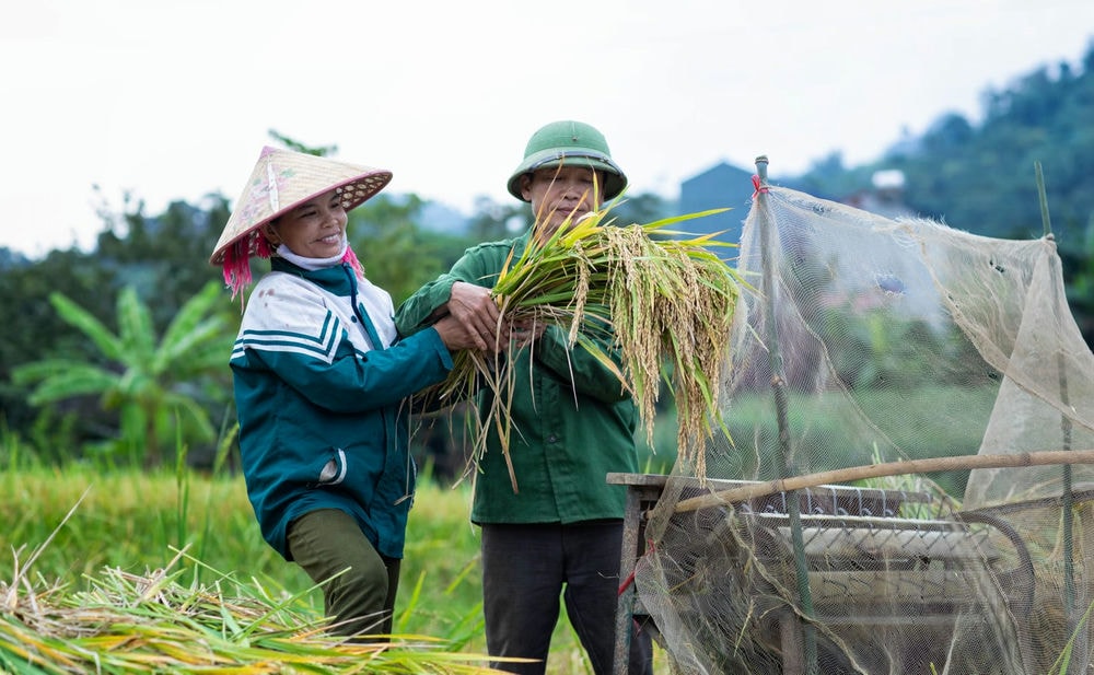 Giới thiệu Vân Hồ Agritage