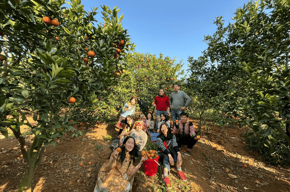 Thung Lũng Bướt Mùa Xuân: Khám Phá Thiên Nhiên Mùa Xuân Tây Bắc Thung Lũng Bướt Mùa Xuân: Khám Phá Thiên Nhiên Mùa Xuân Tây Bắc