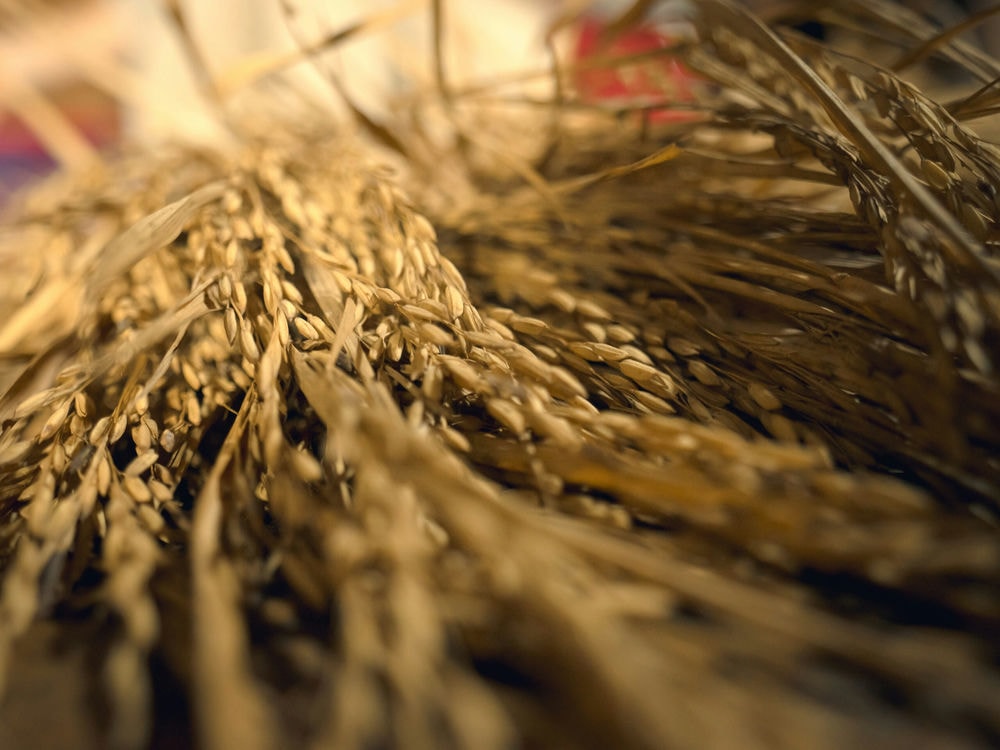 Nông Sản Hữu Cơ