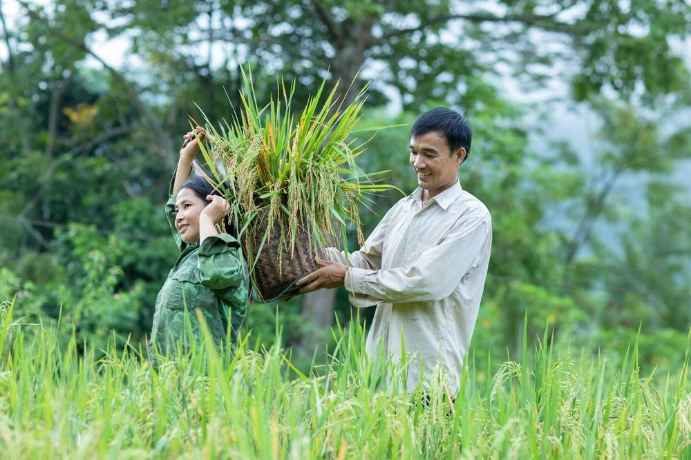 Bản Bướt – Khởi Nguồn Mô Hình Nông Nghiệp Di Sản