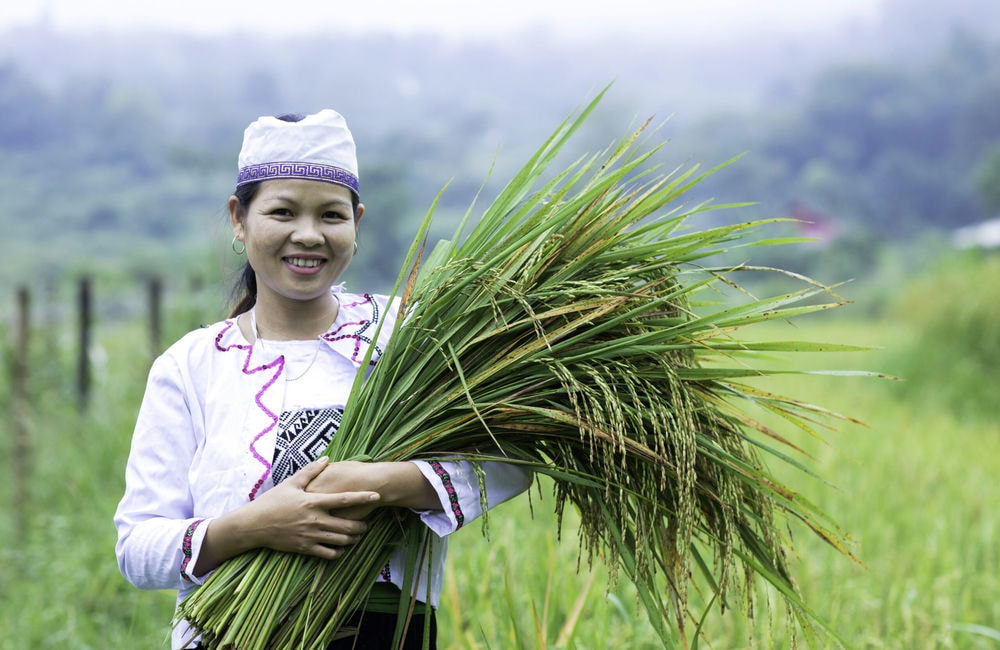 (I) Sinh kế bền vững và an ninh lương thực