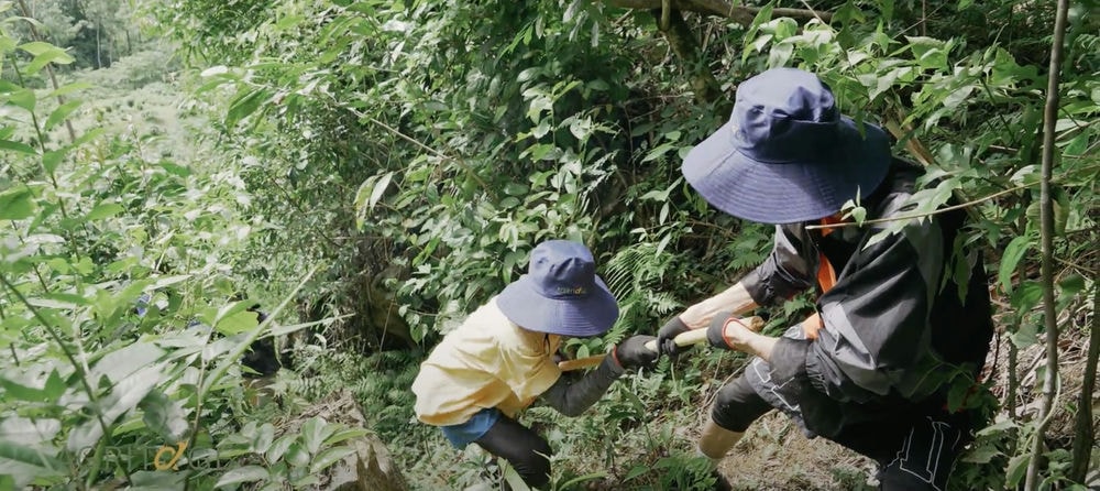 Cách đi rừng an toàn