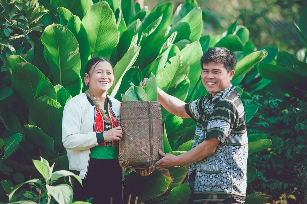 (IV) Hệ thống giá trị văn hoá và tổ chức cộng đồng