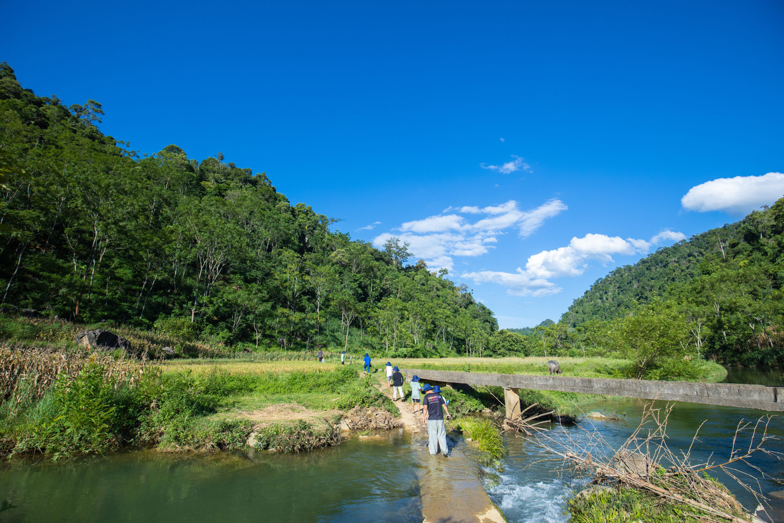 Mùa hè vẫy vùng trong những con suối ở bản Bướt
