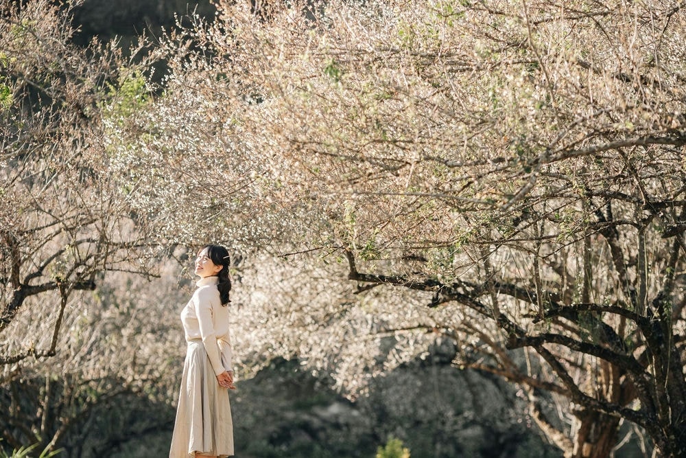 Bí kíp du lịch Tây Bắc từ A – Z