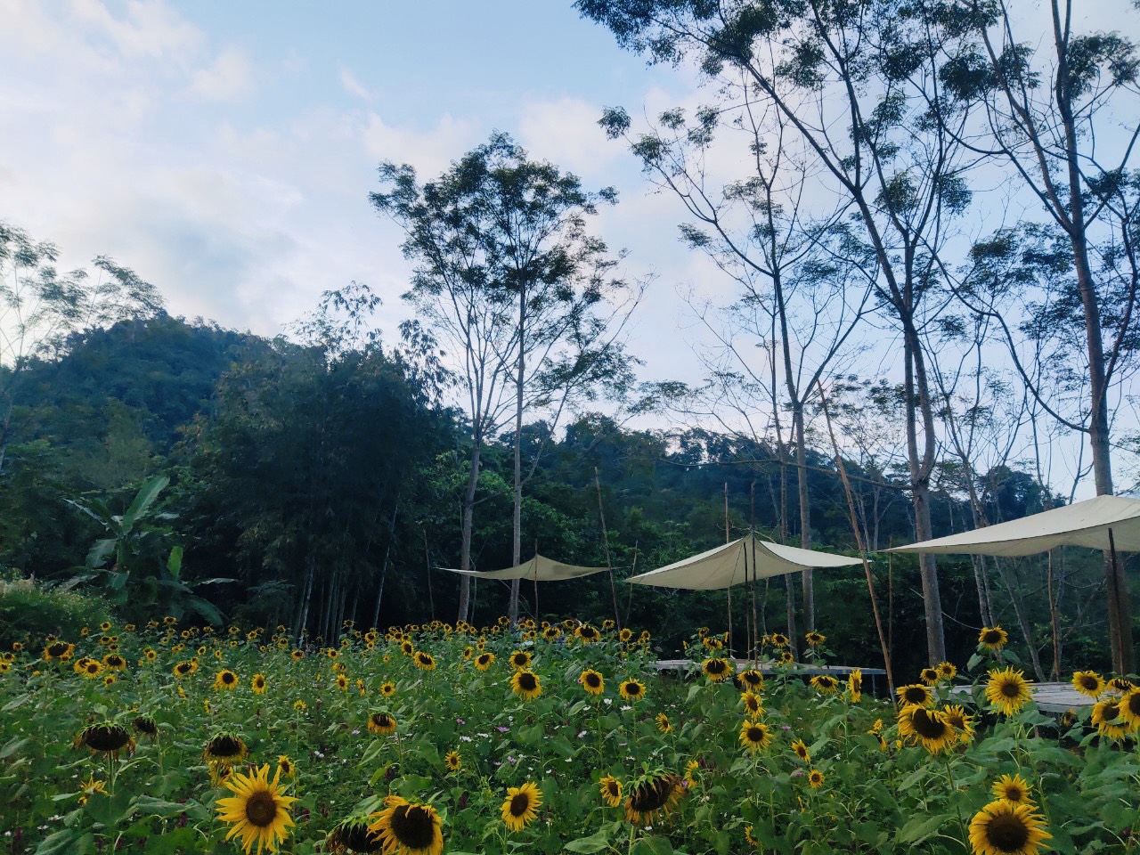 Cắm Trại Khu Agritage+